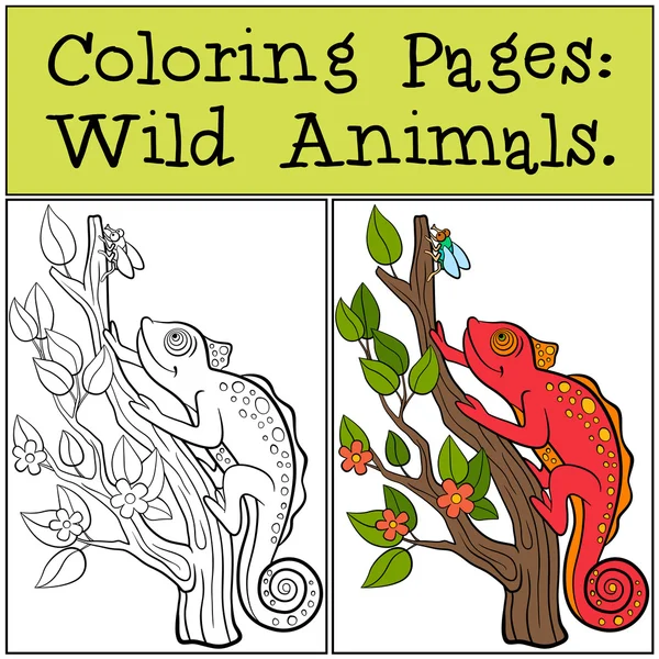 Χρωματισμός σελίδες: άγρια ζώα. Μικρό χαριτωμένο κόκκινο χαμαιλέων κάθεται στο — Διανυσματικό Αρχείο