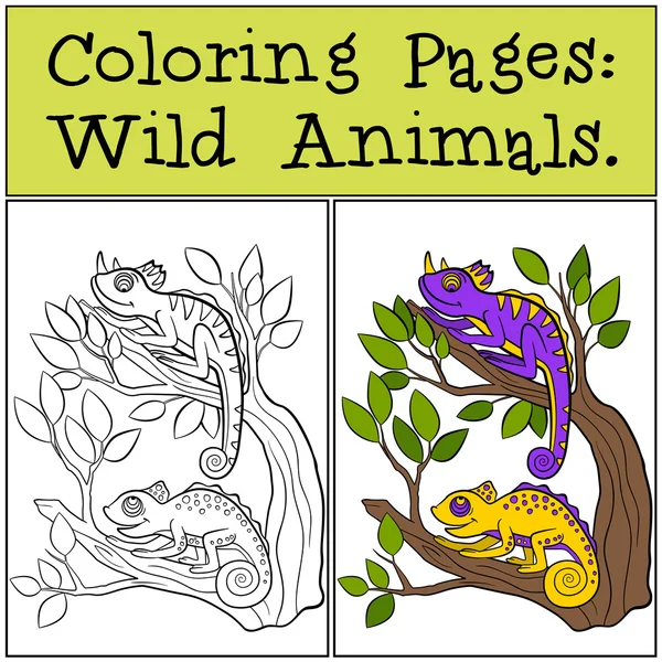 Disegni da colorare: Animali selvatici. Due piccoli camaleonti carini siede sul ramo dell'albero . — Vettoriale Stock