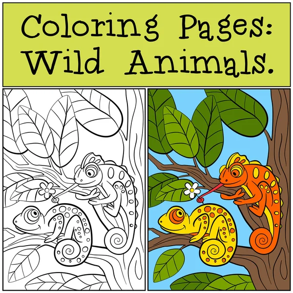 Dibujos para colorear: Animales salvajes. Dos camaleones lindos. . — Vector de stock