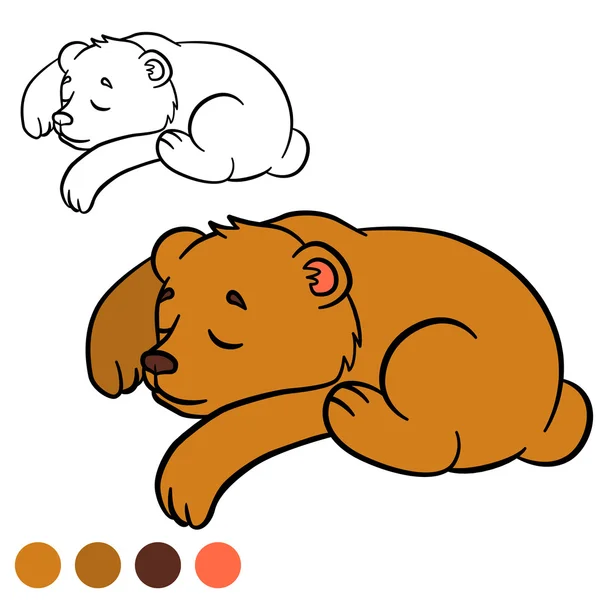 Χρωματισμός σελίδα. Χρώμα: αρκούδα. Μικρό χαριτωμένο αρκουδάκι. — Διανυσματικό Αρχείο