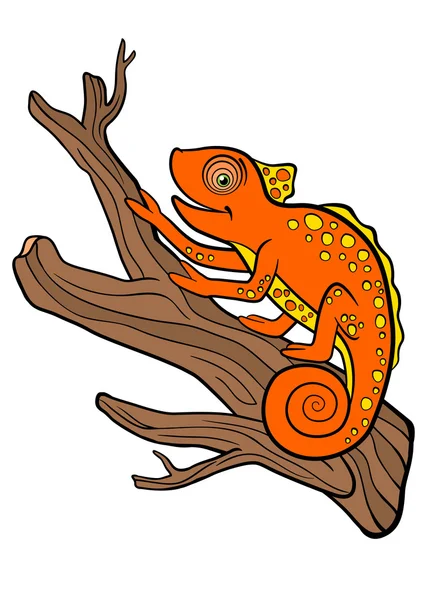 Animaux de bande dessinée pour enfants. Petit caméléon orange mignon . — Image vectorielle