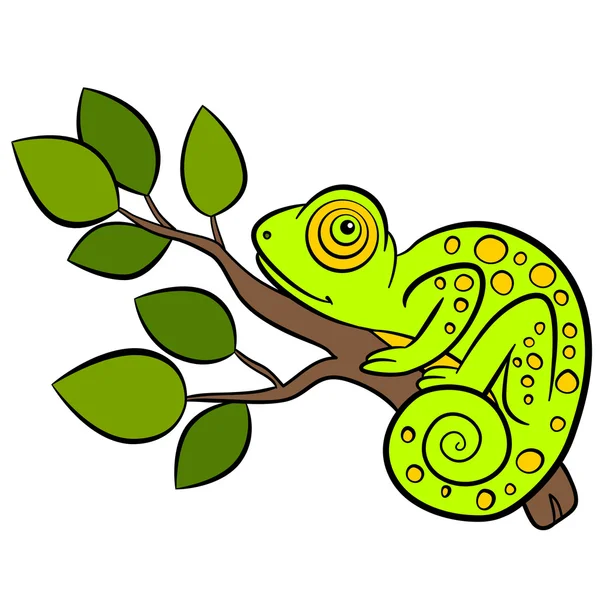 Cartoon animals for kids. Little cute green chameleon sits on th — Stock Vector