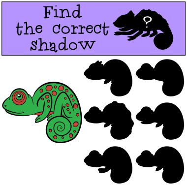 çocuk oyunları: doğru gölgeyi bulun. Biraz sevimli yeşil chame