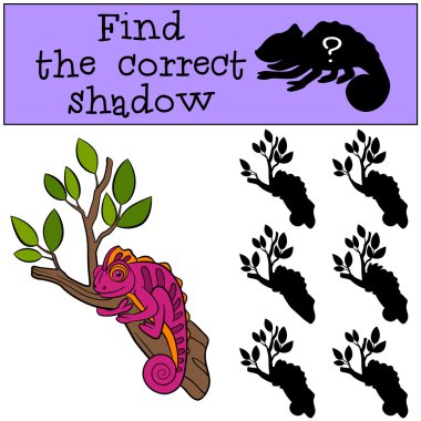 çocuk oyunları: doğru gölgeyi bulun. Küçük sevimli pembe chamel