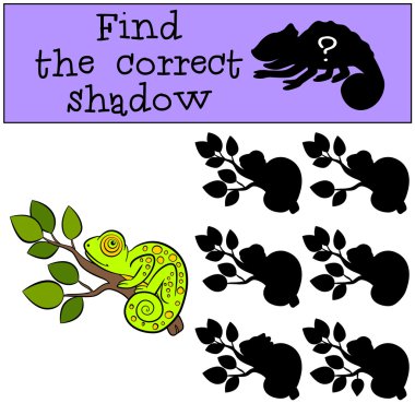 çocuk oyunları: doğru gölgeyi bulun. Biraz sevimli yeşil chame
