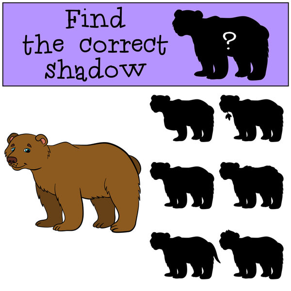 Детские игры: Найти правильную тень. Милый бурый медведь
.