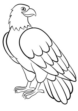 Boyama sayfaları. Yabani kuşlar. Şirin kartal gülümsüyor.