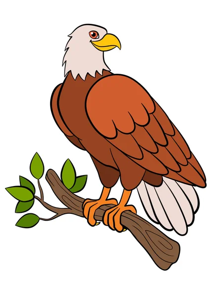 Vogels tekenfilm voor kinderen: Eagle. Schattig bald eagle glimlacht. — Stockvector