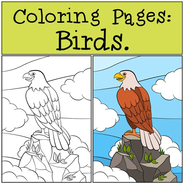 Dibujos para colorear: Pájaros salvajes. Lindo águila audaz se sienta en la roca y — Vector de stock