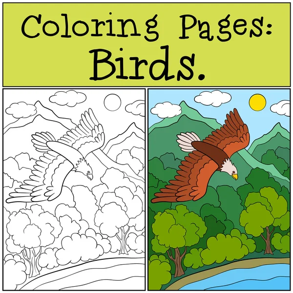 Dibujos para colorear: Pájaros salvajes. Lindo águila audaz vuelo . — Vector de stock