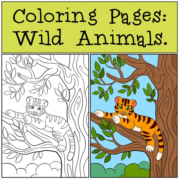 Dibujos para colorear: Animales salvajes. Pequeño tigre bebé lindo yace en la rama del árbol y sonríe . — Vector de stock