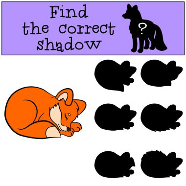 çocuk oyunları: doğru gölgeyi bulun. Küçük sevimli bebek tilki.