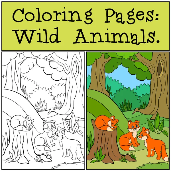 Coloriages : Animaux sauvages. Trois petits bébés renards mignons sourient dans la forêt . — Image vectorielle