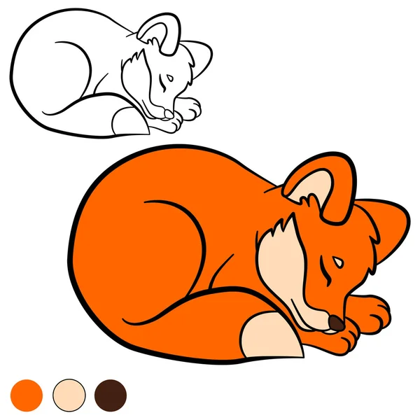 Målarbok. Färg mig: räv. Liten söt bebis räv. — Stock vektor