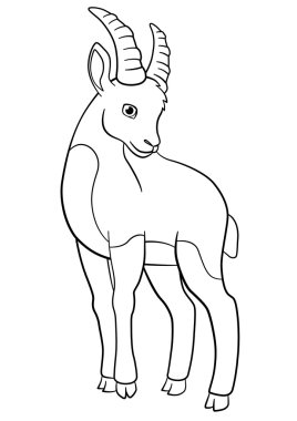 Coloring pages. Little cute ibex. clipart