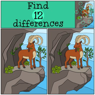 Eğitici bir oyun: bul farklılıklar. Büyük boynuzlu sevimli dağ keçisi.
