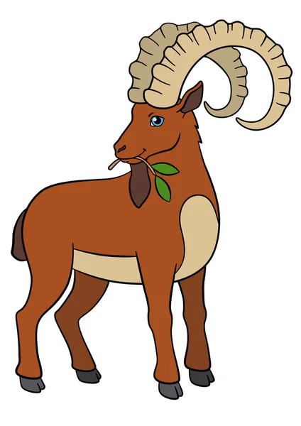 Animales de dibujos animados. Lindo ibex con grandes cuernos . — Vector de stock