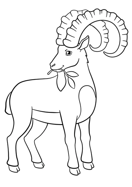 Окраска страниц. Симпатичный козёл с большими рогами . — стоковый вектор