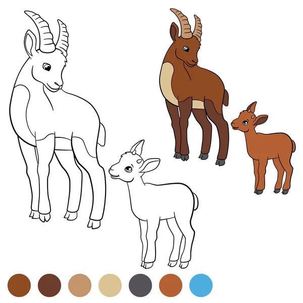 Kolor mnie: ibex. Matka ibex z jej słodkie maleństwo. — Wektor stockowy
