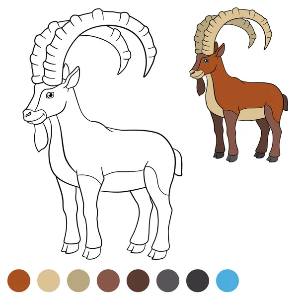 Color me: ibex. Lindo ibex con grandes cuernos . — Archivo Imágenes Vectoriales