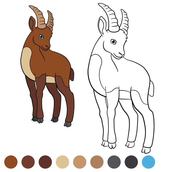 Color me: ibex. Pequeño lindo ibex . — Archivo Imágenes Vectoriales