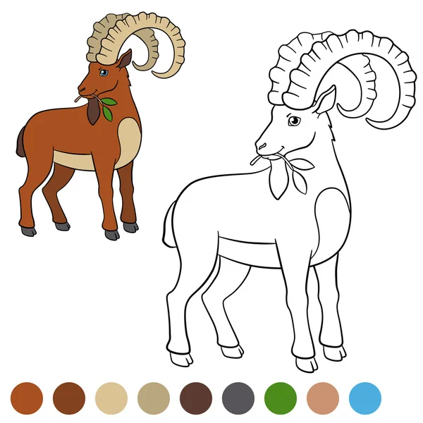 Color me: ibex. Lindo ibex con grandes cuernos . — Vector de stock