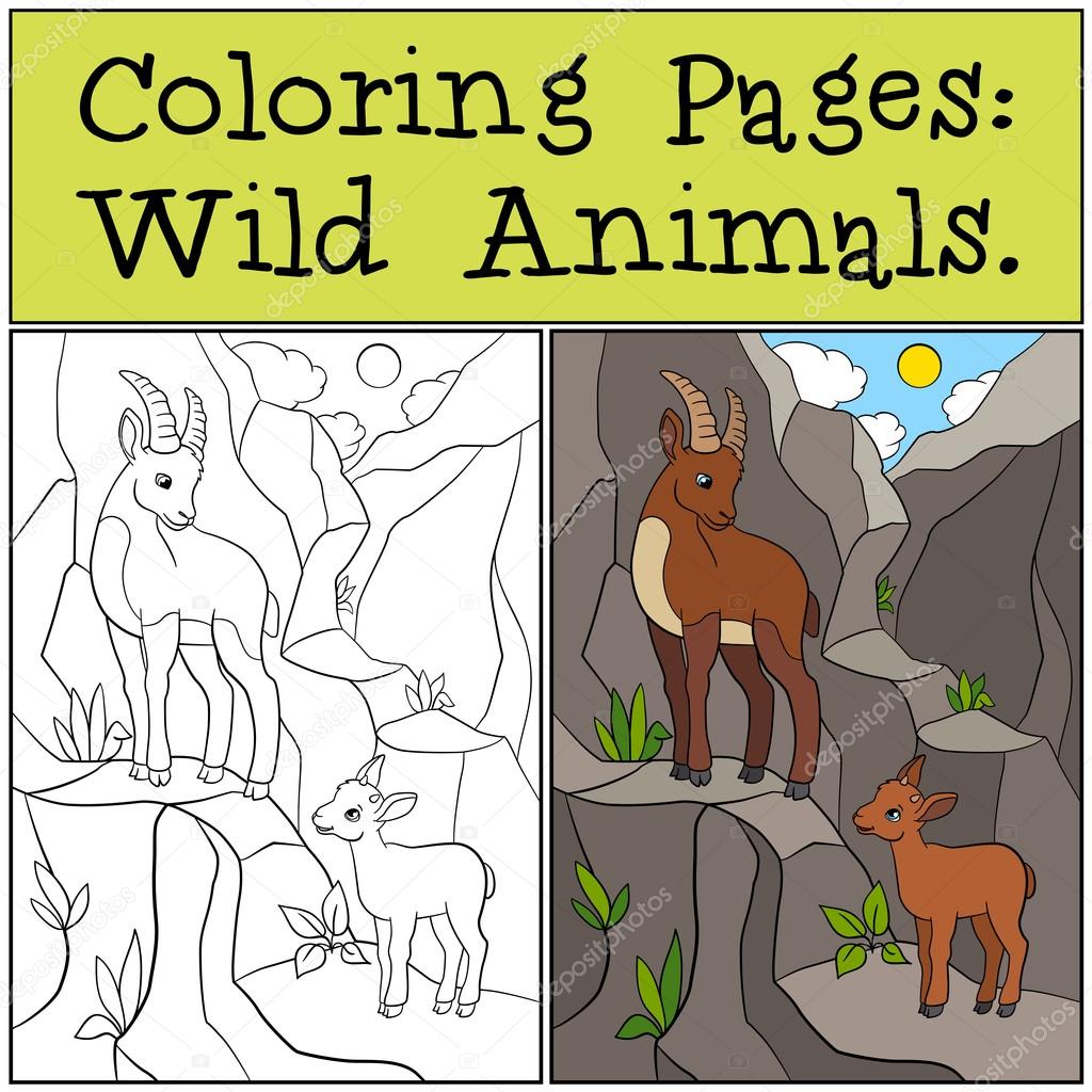 Disegni da colorare Animali selvatici Stambecco madre con il suo piccolo bambino — Vettoriale