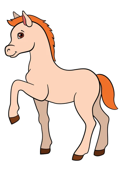 卡通农场动物。小可爱小马驹. — 图库矢量图片