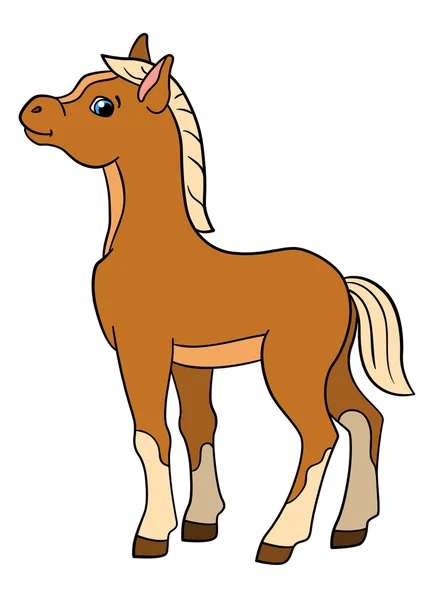 卡通农场动物。小可爱小马驹. — 图库矢量图片