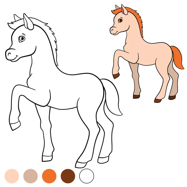 Disegno da colorare. Colore me: cavallo. Piccolo puledro carino . — Vettoriale Stock