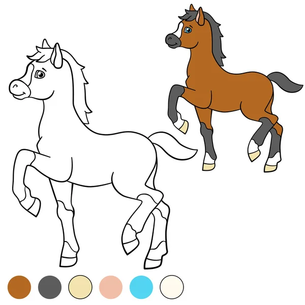 Coloring page. Color me: horse. Little cute foal. — Stock Vector