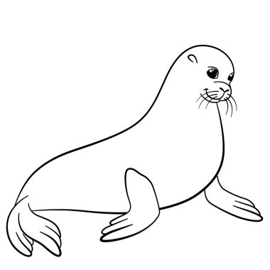 Coloring pages. Little cute fur seal smiles. clipart