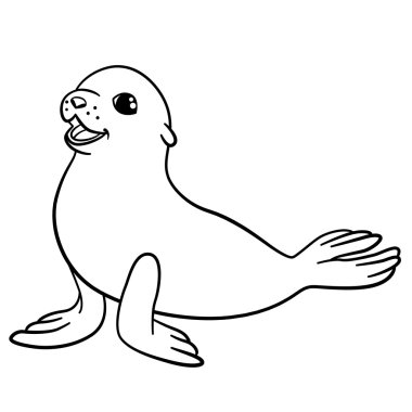 Coloring pages. Little cute baby fur seal. clipart