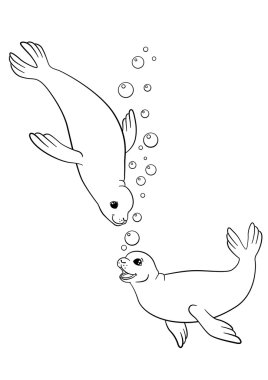 Coloring pages. Two little cute seals swim. clipart