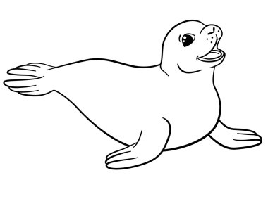 Boyama sayfaları. Küçük sevimli fok.