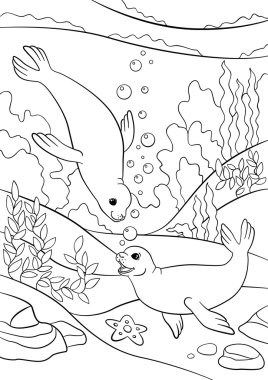 Boyama sayfaları. İki küçük sevimli foklar yüzmek ve gülümseme.