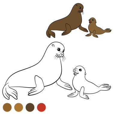 Coloring page with colors. Mother fur seal with her baby. clipart