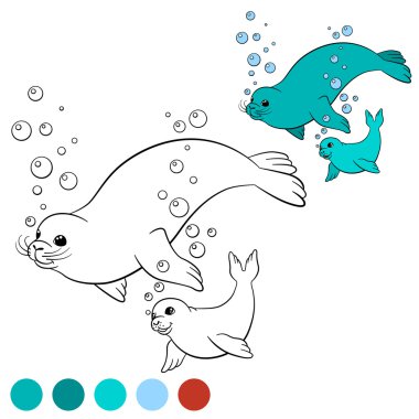 Coloring page with colors. Mother seal swims with her baby. clipart