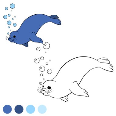 Boyama page renkler. Küçük sevimli fok.