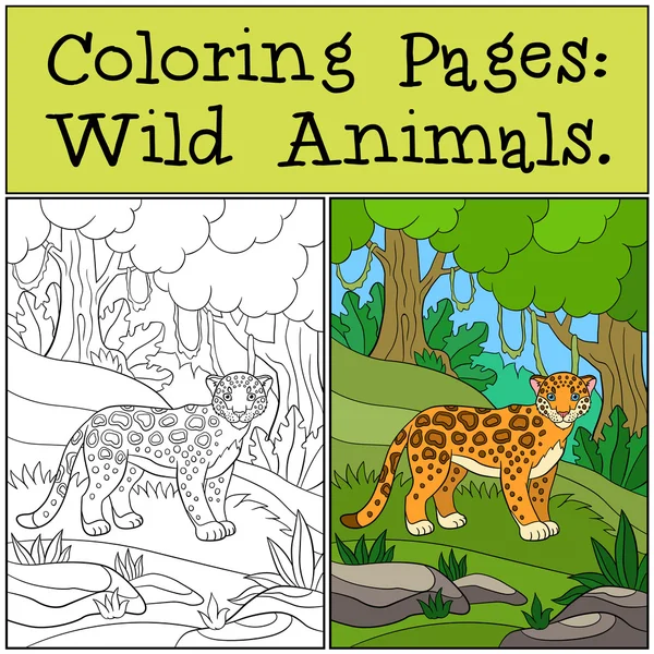 Dibujos para colorear: Animales salvajes. Pequeño lindo jaguar sonríe . — Vector de stock