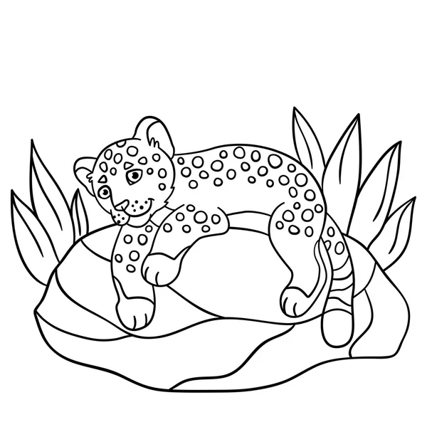 Coloring pages. Little cute baby jaguar on the stone. — Stock Vector