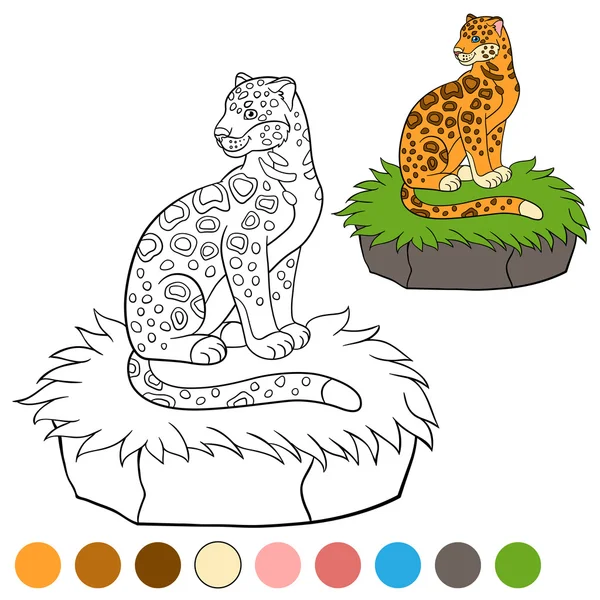 Coloring page with colors. Cute jaguar sits on the grass. — Stock Vector