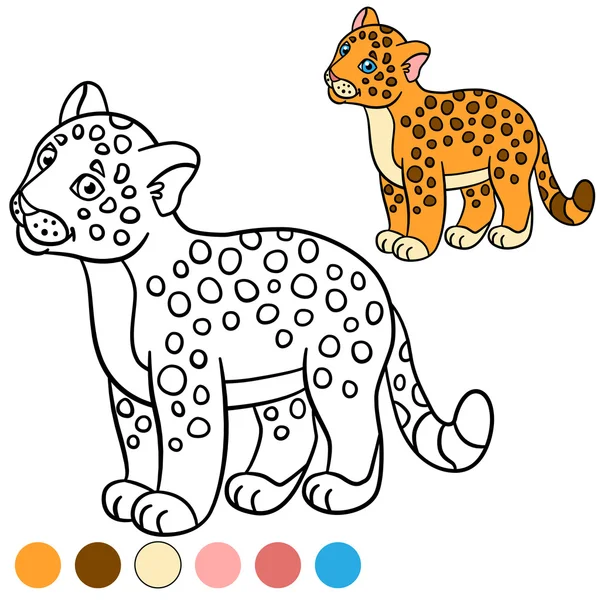 Coloring page with colors. Little cute baby jaguar. — Stock Vector