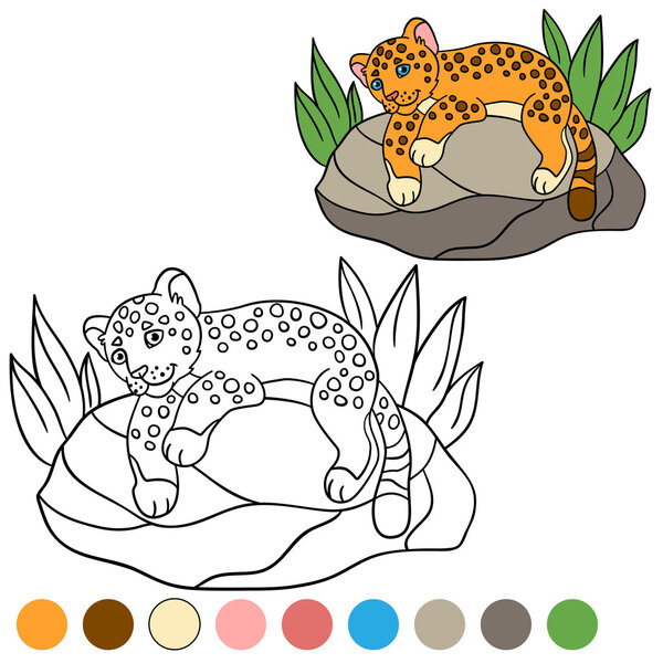 Coloring page with colors. Little cute baby jaguar.