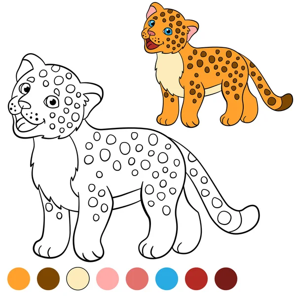 Coloring page with colors. Little cute baby jaguar. — Stock Vector