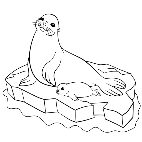 Coloring pages. Mother seal with her little cute baby. — Stock Vector