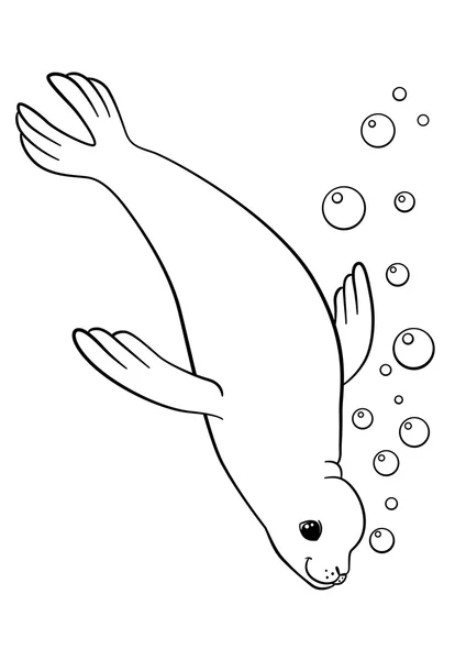 Coloring pages. Little cute seal swims. — Stock Vector