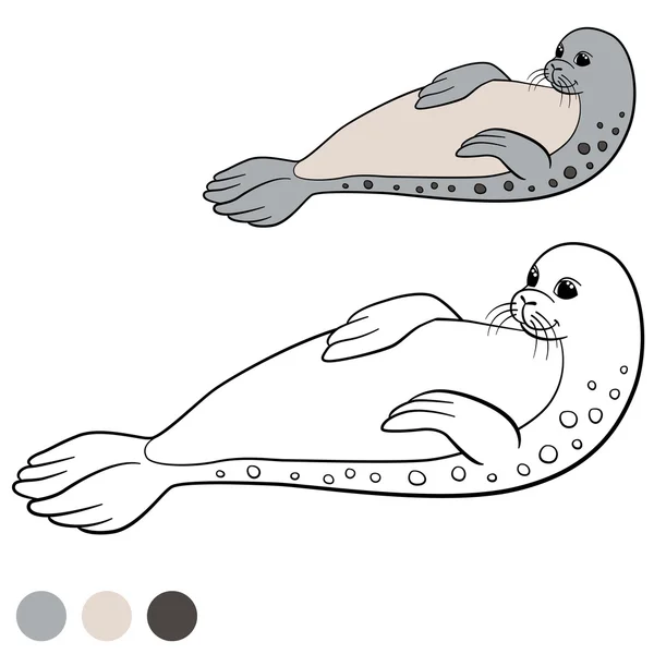 Coloring page with colors. Little cute spotted seal. — Stock Vector