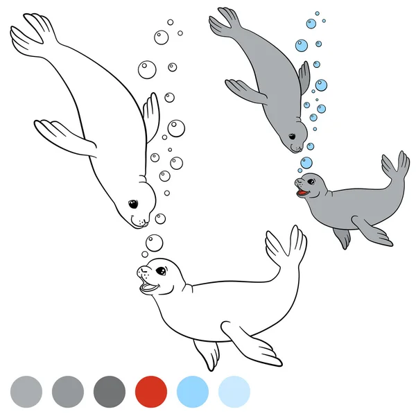 Malvorlage mit Farben. zwei kleine süße Robben. — Stockvektor