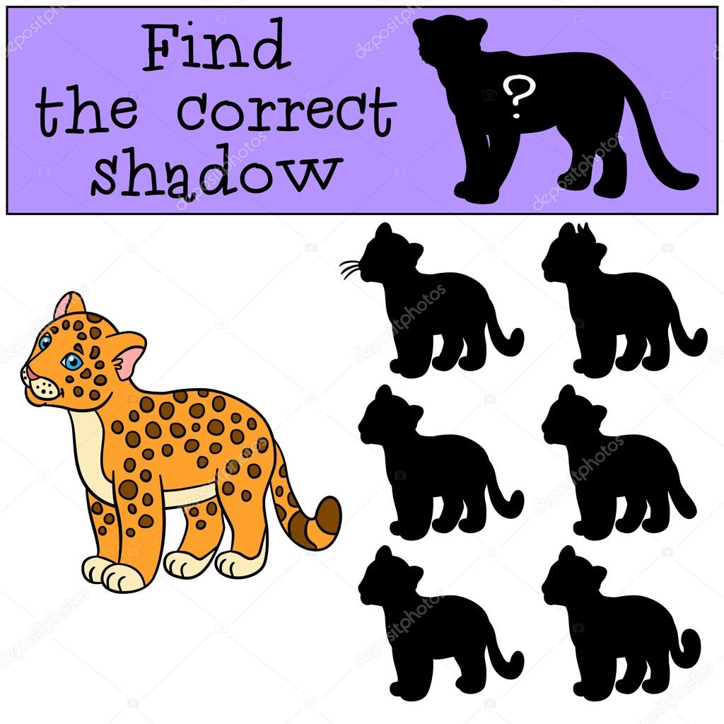 Educational game: Find the correct shadow. Little cute baby jaguar